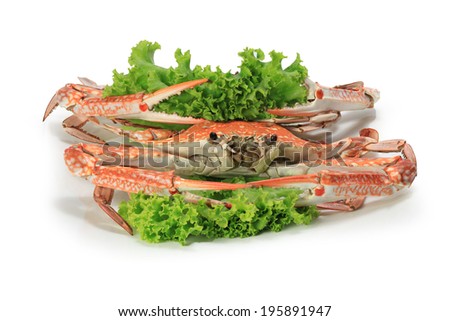 Large steamed crab cooked in red, orange and white on a white background.