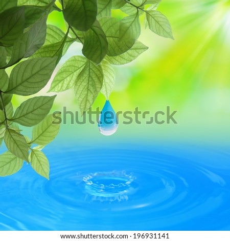 Sun Sunlight Shine to leaves with water drop over water Summer Spring background