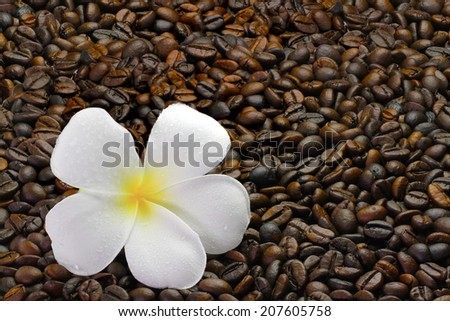 Plumeria flowers several, white flowers preparation for a coffee menu is made from coffee beans
