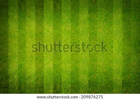 A realistic textured grass football , green natural grass of a soccer field
