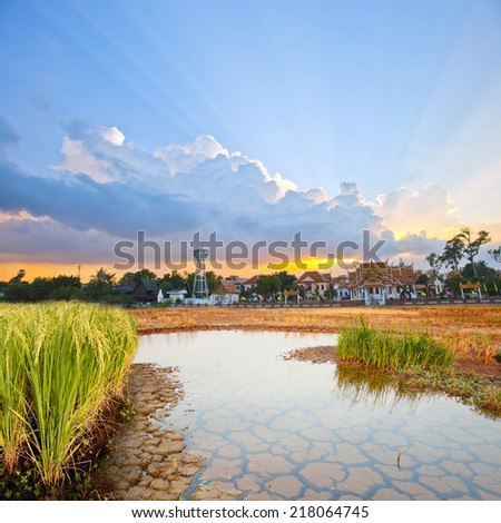 Landscape sunny Life in rural Thailand contryside rich water for growing green rice with temple background on sunset sky and cloud.