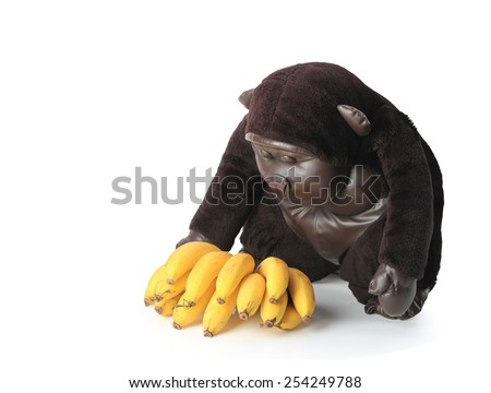 Gorilla with a banana  isolated on white background  this has clipping path.
