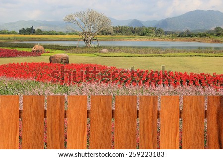 Wooden fence with the rear is a small flowers on the grass and reservoirs background.