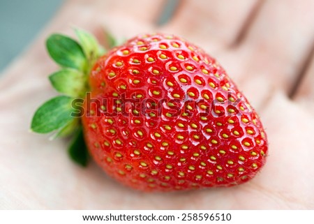 Fresh Strawberry in hand