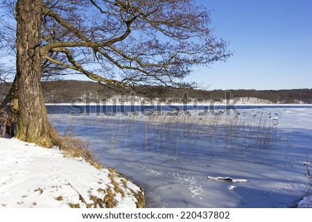 Landscape in Winter, Lake Werbellinsee, North of Brandenburg. The lake is one of the largest lakes in Brandenburg, the lake is situated in the forest of the Schorfheide-Chorin Biosphere Reserve.