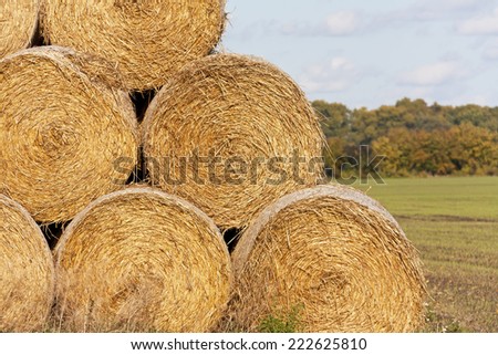 Hay bales (Straw rolls) on a late autumn afternoon. (Was seen in Brandenburg, Germany).