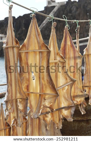 Stockfish dried by the wind on the beach of Camara de Lobos. The drying of food is the world\'s oldest known preservation method, and dried fish has a storage life of several years.