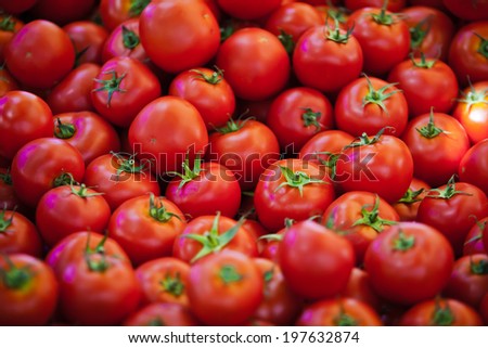 photo of very fresh tomatoes presented on white background, group of fresh tomatoes on market, in shop