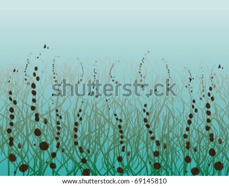 ocean floor with seaweed