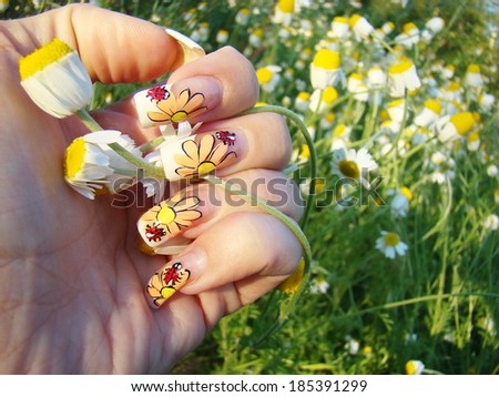 hand holding a daisy. nail aesthetics. manicure with summer pattern