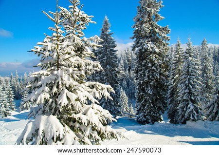 snow ski mountain in the Carpathians, Ukraine. Ski resort in the snow