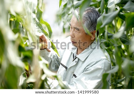 Agricultural research veteran