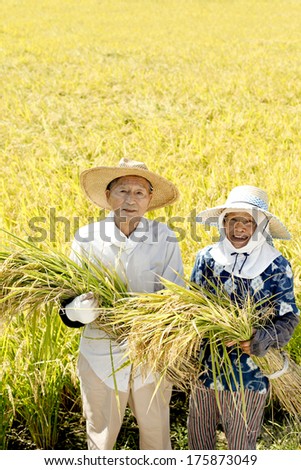 Farmers of Japan celebrates good harvest