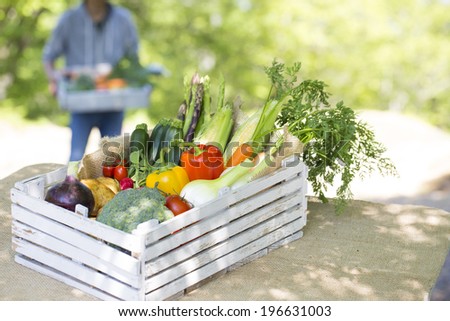 Fresh chemical-free vegetables you harvest Fresh chemical-free vegetables you harvest