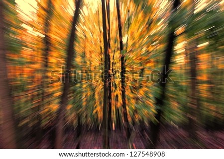 An abstract burst of color created by a zoom of an autumn forest