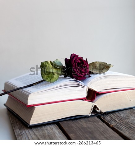 Dried red rose laying over an open book