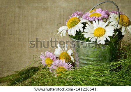 Bouquet of daisies in a bucket on canvas background