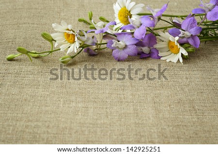 Delphinium branch and daisies on a beige canvas background