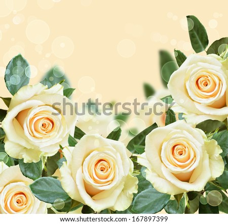 Peach background with white roses