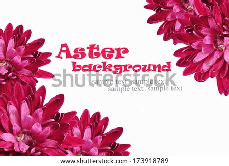 Paper card and aster flowers on beige canvas background