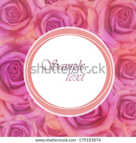 Pink rose flowers with frame for holiday background