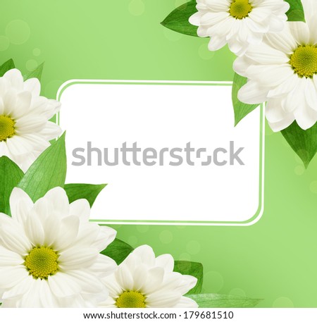 Daisy flowers corners with frame on green background
