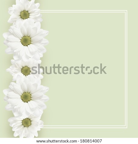 Gray background with daisy flowers line and frame
