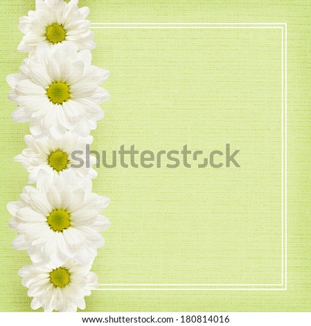 Green background with daisy flowers line and frame