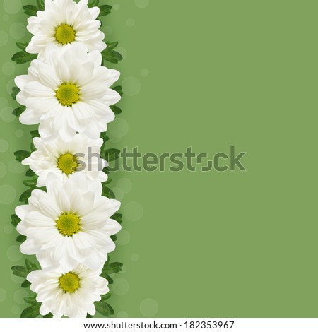 Daisy flowers line on green background