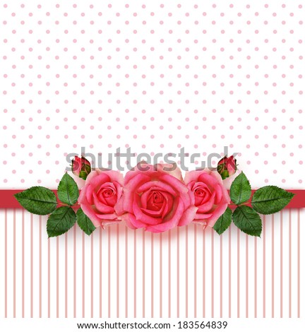 Rose flowers arrangement and frame on white background