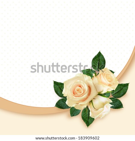 Rose flowers composition on white and peach background