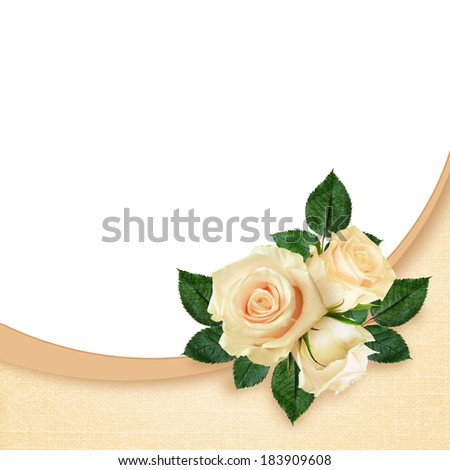 Rose flowers composition on white and peach background