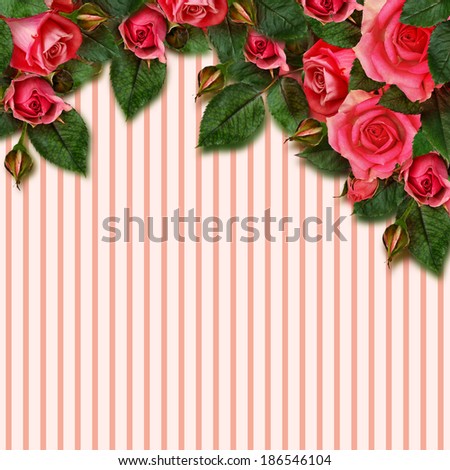 Rose flowers arrangement and frame on striped background