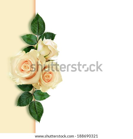 Rose flowers arrangement on white and peach background