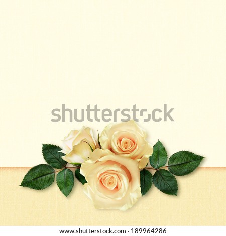 Rose flowers arrangement on peach background