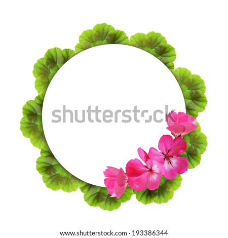 Background with geranium flowers and round frame