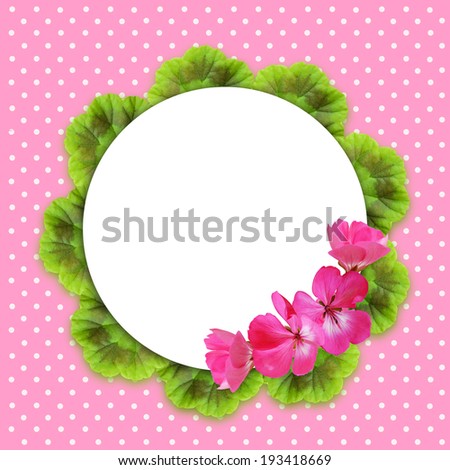 Pink background with geranium flowers and round frame