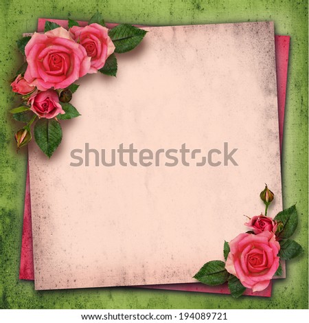Rose flowers in a corner of vintage background
