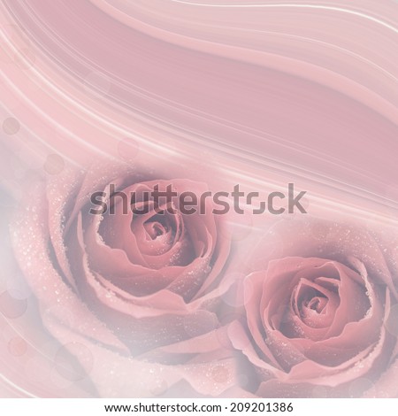 Rose flowers holiday background
