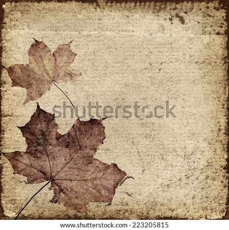 Fall leaves on old background