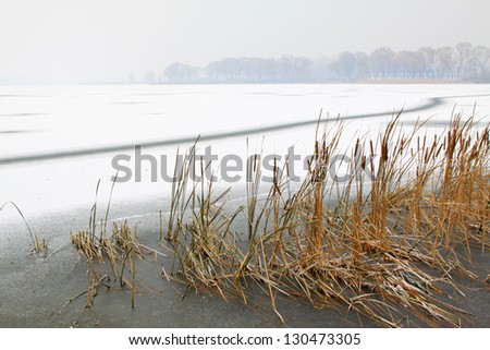 reed and traces in the snow and ice in winter, China