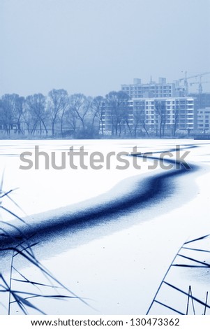 reed and traces in the snow and ice in winter, China