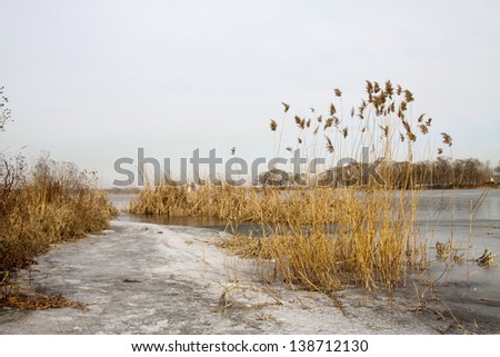 waterfront plant landscape in winter, north china.