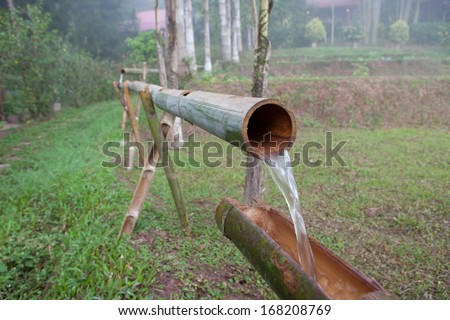 Bamboo Water tube