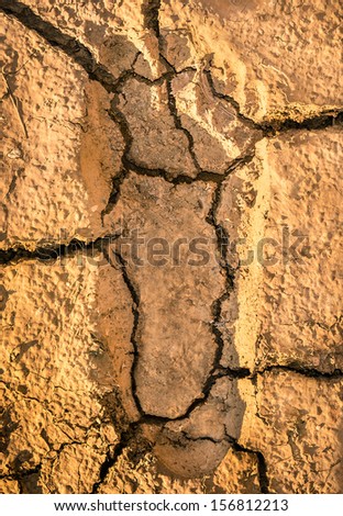 Human Footprint on a cracked Earth Soil