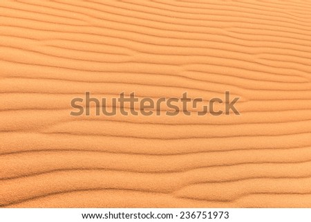 Sand desert background with wind ripple - Concept of purity and pristine unspoiled travel destination - Exclusive adventure travel in african desert Sussuvlei in Namibia territory