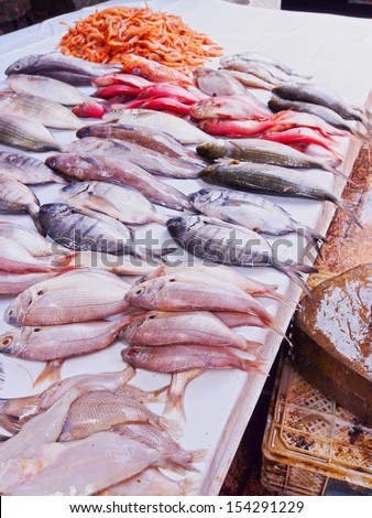 Fresh Fishes on the Market of the old medina in Essaouira, Morocco, Africa