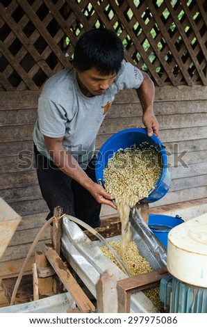 SALAVAN, LAO PDR - NOVEMBER 8 : Unidentified coffee farmers wash and dry coffee beans.( wet processing ) , November 8 , 2014 ,Salavan, Lao pdr.