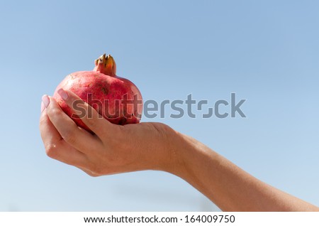 A female hand is holding a pomegranate in front of the blue sky