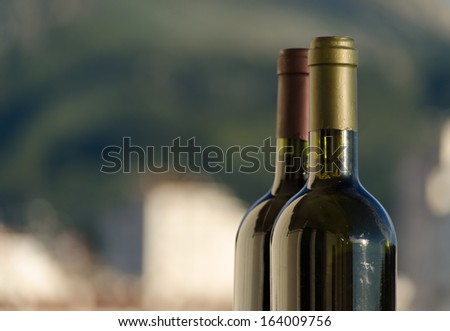 Two wine bottle necks with the white and green blurry background